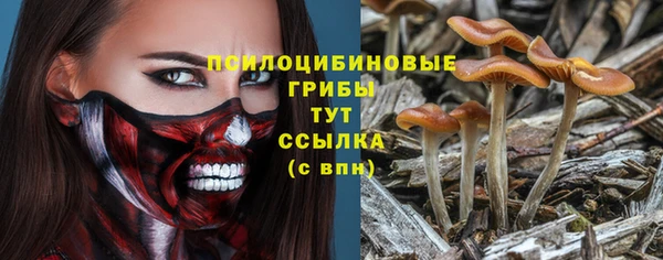 кокс Арсеньев