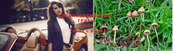 кокс Арсеньев