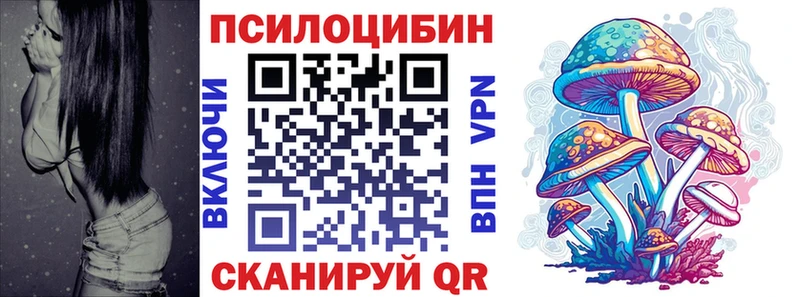 Купить где  Миллерово  Галлюциногенные грибы мицелий 